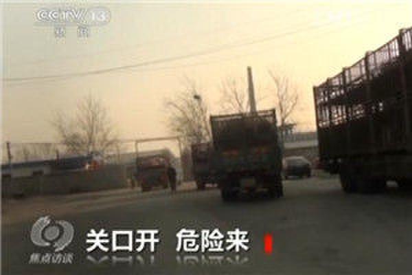 央视曝生猪收购黑幕 部分疑似病猪流入金锣