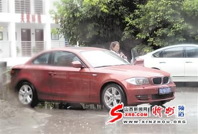 14日 开宝马来上班 重庆晨报记者 罗伟 雷键 摄